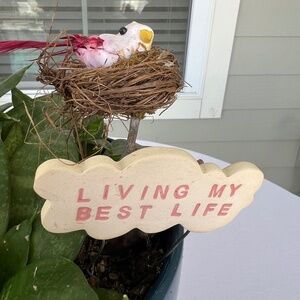 Meet your Posher, Alexandra